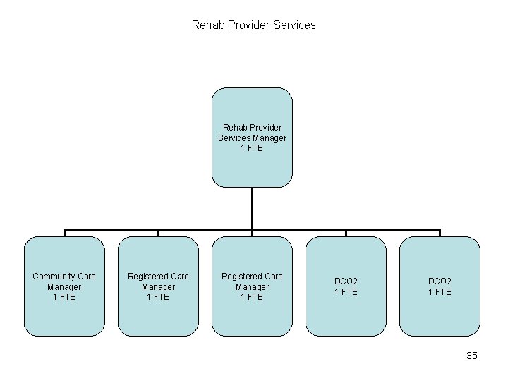 Rehab Provider Services Manager 1 FTE Community Care Manager 1 FTE Registered Care Manager