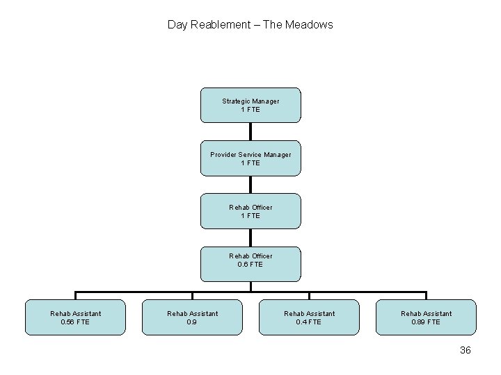 Day Reablement – The Meadows Strategic Manager 1 FTE Provider Service Manager 1 FTE