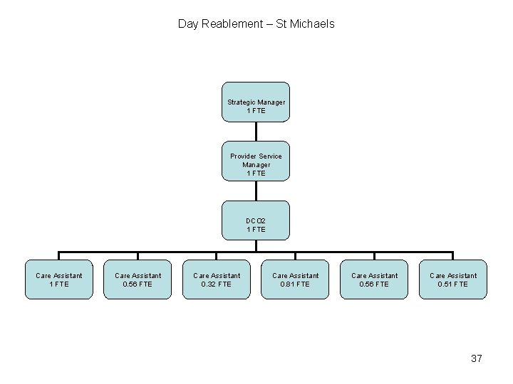 Day Reablement – St Michaels Strategic Manager 1 FTE Provider Service Manager 1 FTE