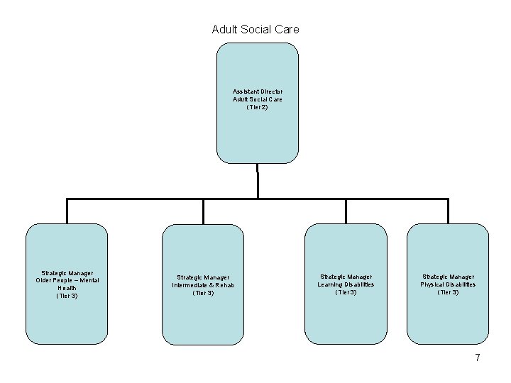 Adult Social Care Assistant Director Adult Social Care (Tier 2) Strategic Manager Older People