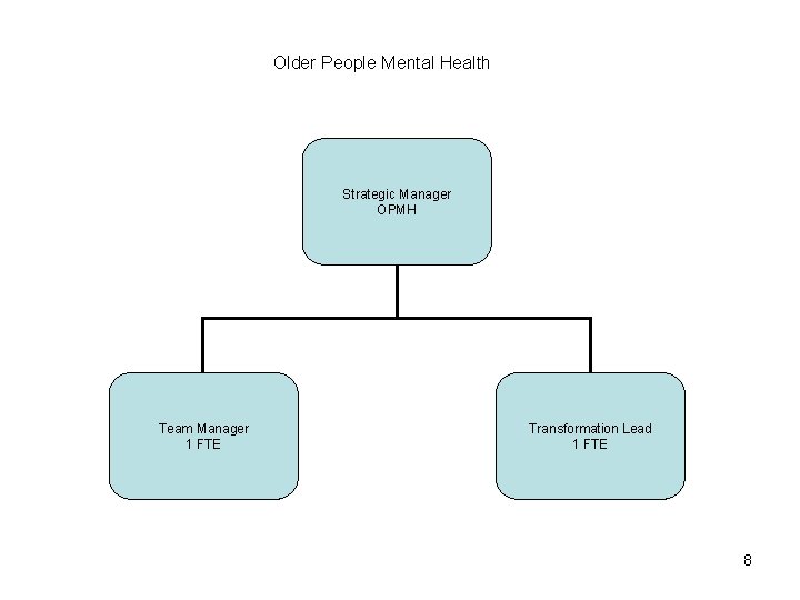 Older People Mental Health Strategic Manager OPMH Team Manager 1 FTE Transformation Lead 1