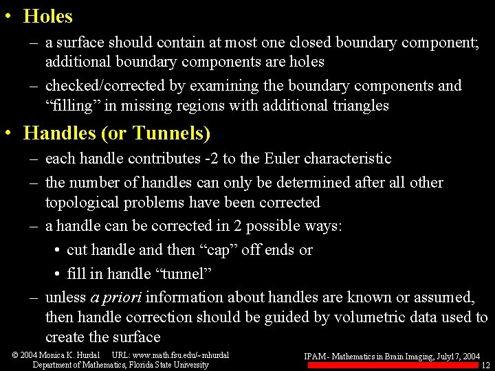  • Holes – a surface should contain at most one closed boundary component;