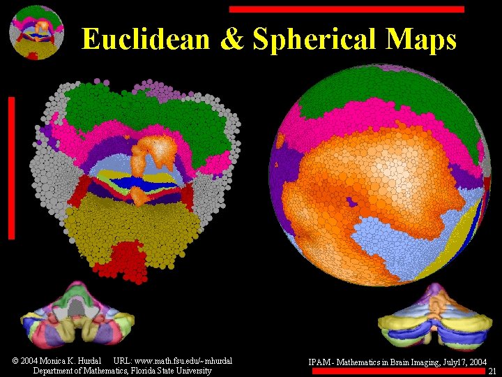 Euclidean & Spherical Maps © 2004 Monica K. Hurdal URL: www. math. fsu. edu/~mhurdal