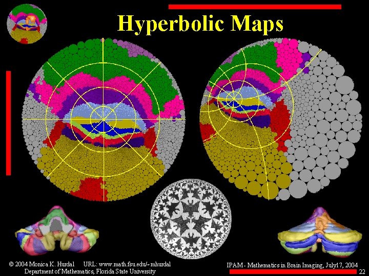 Hyperbolic Maps © 2004 Monica K. Hurdal URL: www. math. fsu. edu/~mhurdal Department of