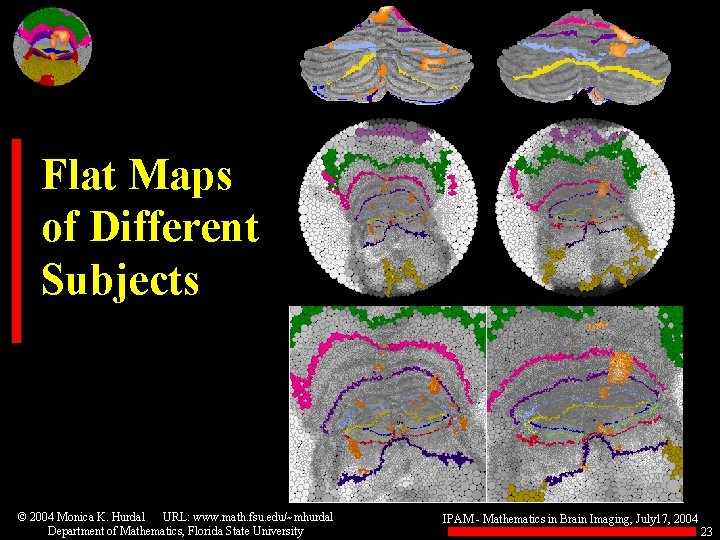 Flat Maps of Different Subjects © 2004 Monica K. Hurdal URL: www. math. fsu.
