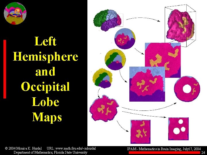 Left Hemisphere and Occipital Lobe Maps © 2004 Monica K. Hurdal URL: www. math.