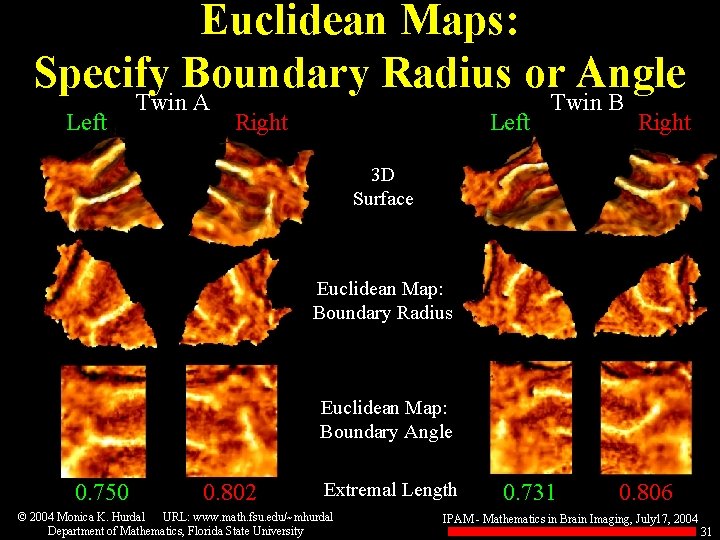 Euclidean Maps: Specify Boundary Radius or Angle Left Twin A Right Left Twin B