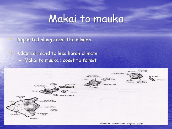 Makai to mauka • Deposited along coast the islands • Adapted inland to less