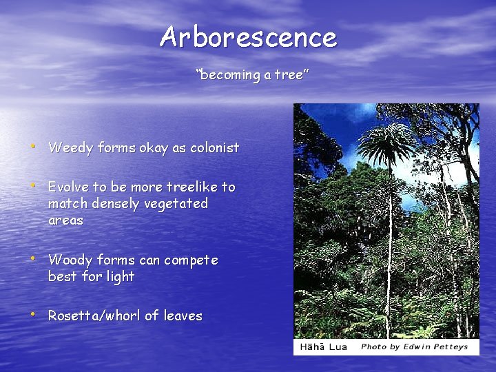 Arborescence “becoming a tree” • Weedy forms okay as colonist • Evolve to be