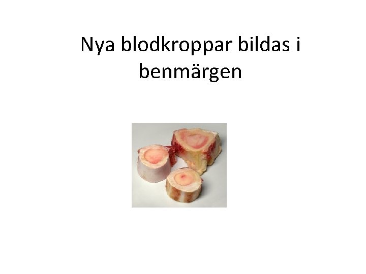 Nya blodkroppar bildas i benmärgen 