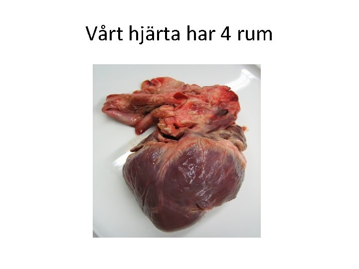 Vårt hjärta har 4 rum 