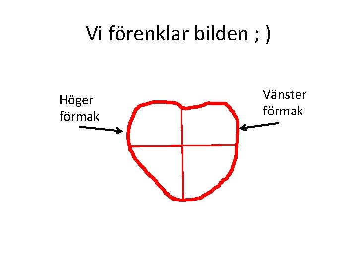 Vi förenklar bilden ; ) Höger förmak Vänster förmak 