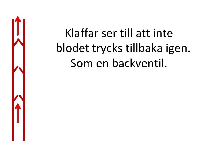 Klaffar ser till att inte blodet trycks tillbaka igen. Som en backventil. 