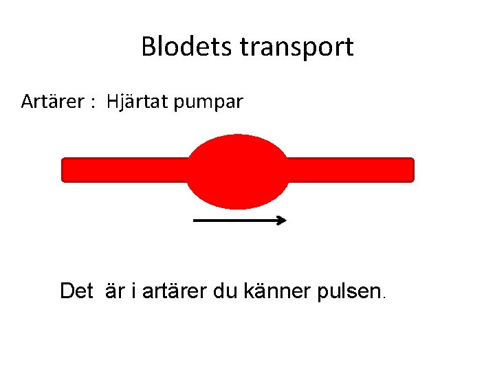 Blodets transport Artärer : Hjärtat pumpar Det är i artärer du känner pulsen. 