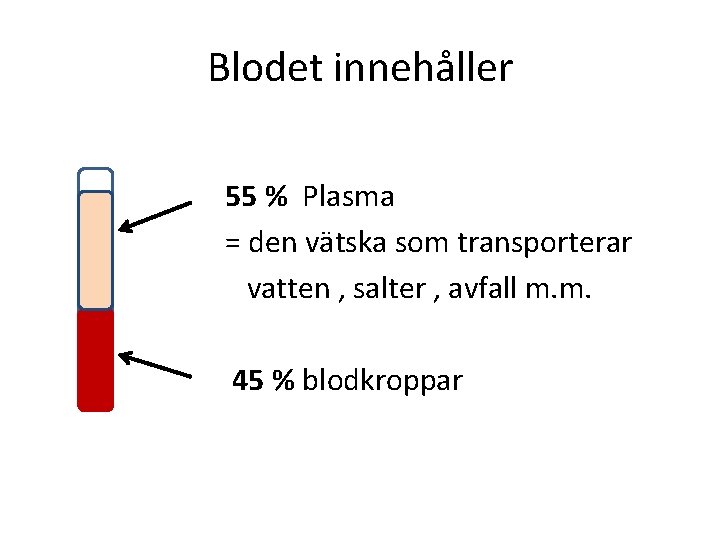 Blodet innehåller 55 % Plasma = den vätska som transporterar vatten , salter ,