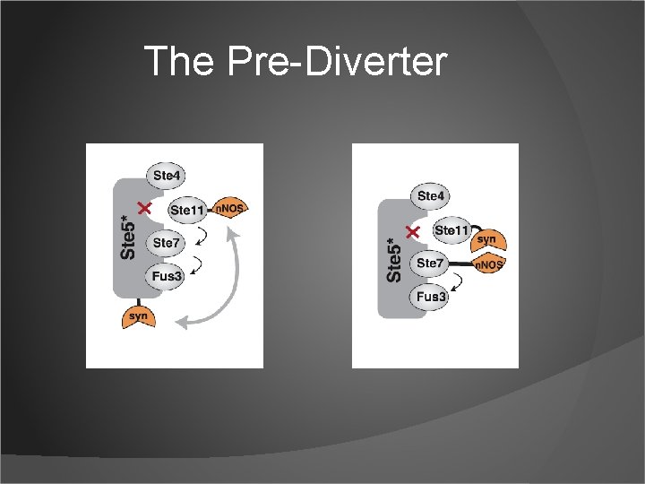 The Pre-Diverter 