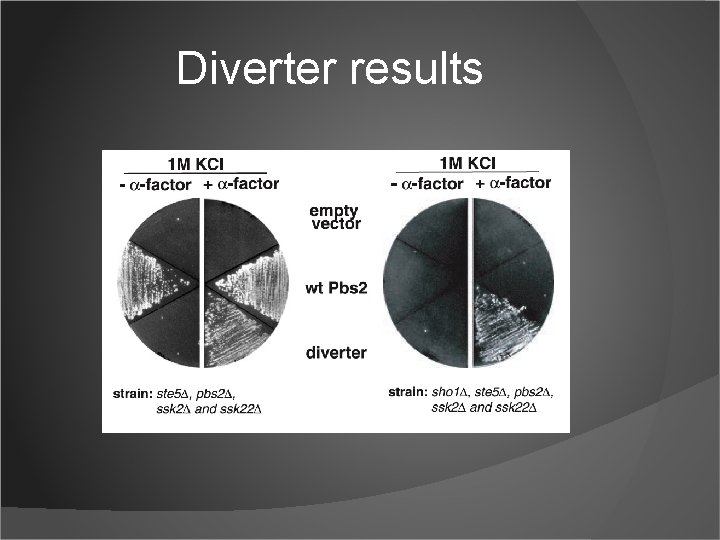 Diverter results 