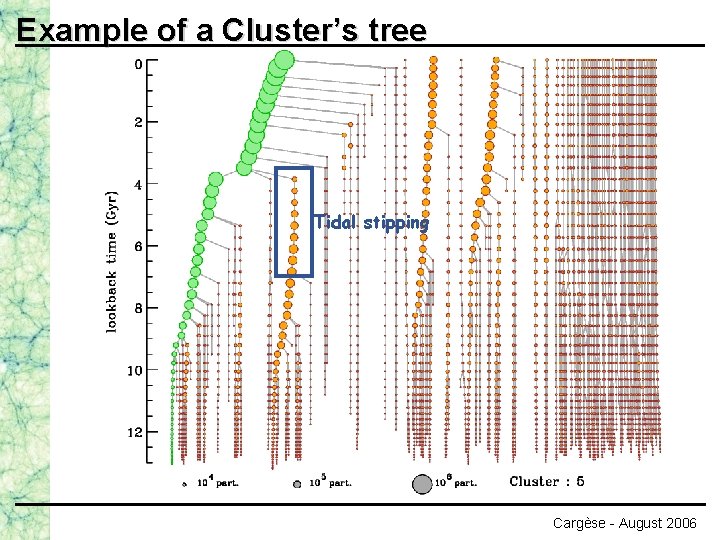 Example of a Cluster’s tree Tidal stipping Cargèse - August 2006 