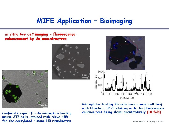 MIFE Application – Bioimaging in vitro live cell imaging – fluorescence enhancement by Au