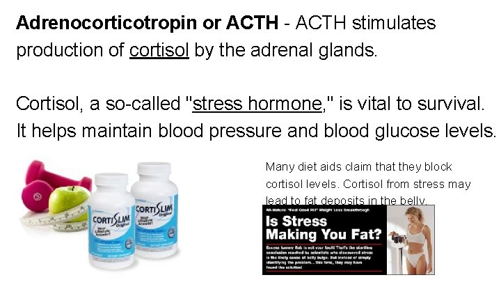 Adrenocorticotropin or ACTH - ACTH stimulates production of cortisol by the adrenal glands. Cortisol,