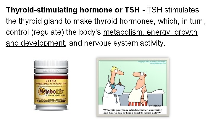 Thyroid-stimulating hormone or TSH - TSH stimulates the thyroid gland to make thyroid hormones,