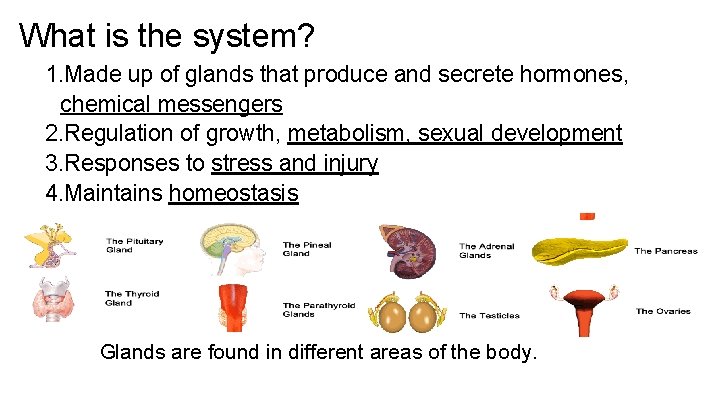 What is the system? 1. Made up of glands that produce and secrete hormones,