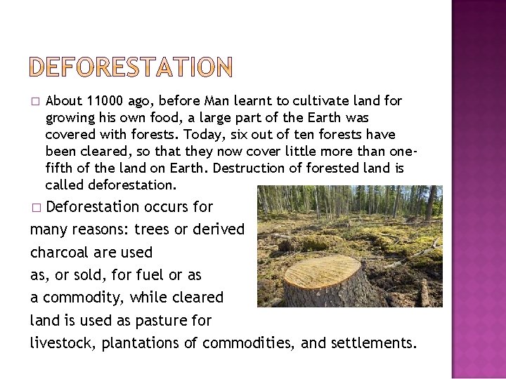 � About 11000 ago, before Man learnt to cultivate land for growing his own