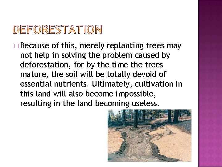 � Because of this, merely replanting trees may not help in solving the problem