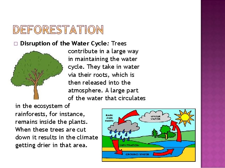 Disruption of the Water Cycle: Trees contribute in a large way in maintaining the