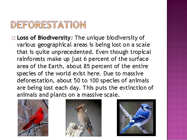 � Loss of Biodiversity: The unique biodiversity of various geographical areas is being lost