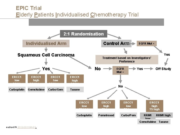 EPIC Trial Elderly Patients Individualised Chemotherapy Trial 2: 1 Randomisation Individualised Arm Control Arm