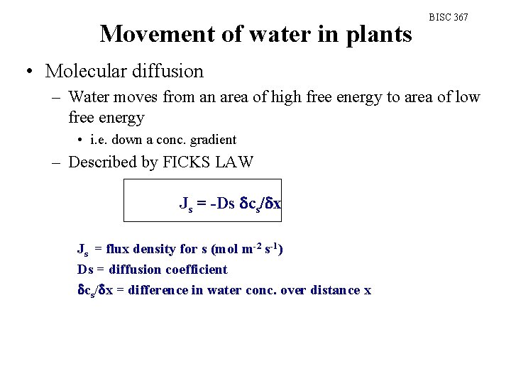 Movement of water in plants BISC 367 • Molecular diffusion – Water moves from