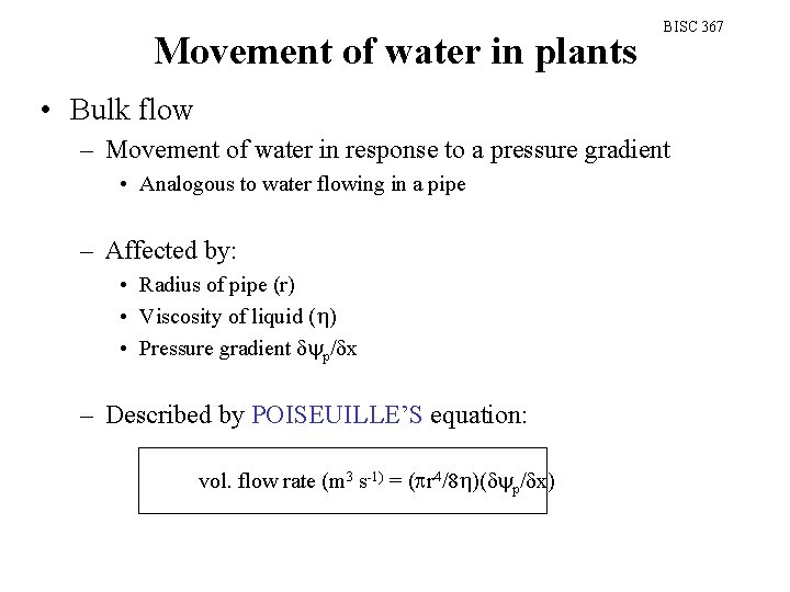 Movement of water in plants BISC 367 • Bulk flow – Movement of water