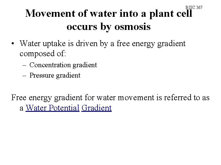 BISC 367 Movement of water into a plant cell occurs by osmosis • Water