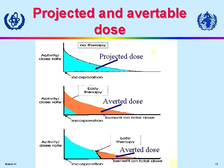Projected and avertable dose Projected dose Averted dose Module IV 12 Projected and avertable dose Projected dose Averted dose Module IV 12