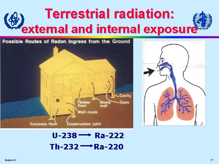 Terrestrial radiation: external and internal exposure U-238 Ra-222 Th-232 Ra-220 Module IV 17 Terrestrial radiation: external and internal exposure U-238 Ra-222 Th-232 Ra-220 Module IV 17
