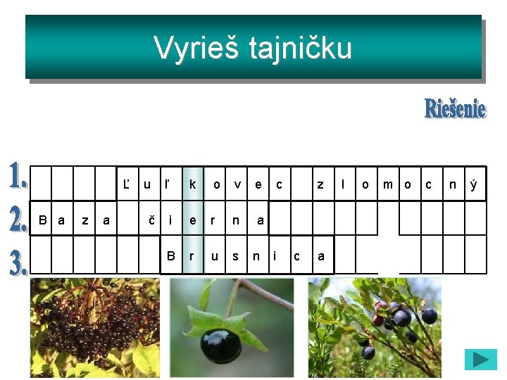 Vyrieš tajničku Ľ u ľ k o v e c z l o m