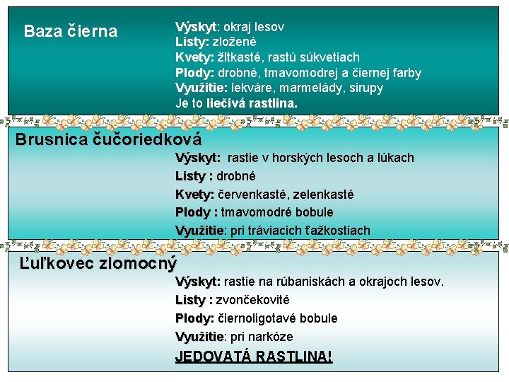 Baza čierna Výskyt: okraj lesov Listy: Listy zložené Kvety: Kvety žltkasté, rastú súkvetiach Plody: