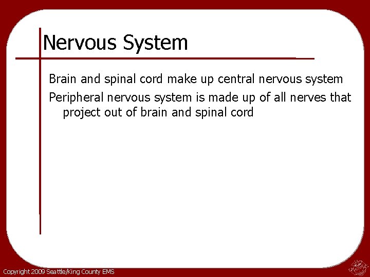 Nervous System Brain and spinal cord make up central nervous system Peripheral nervous system