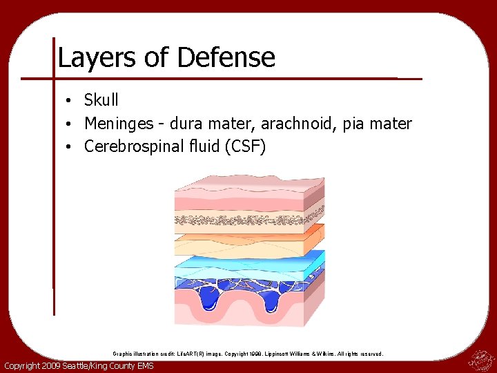 Layers of Defense • Skull • Meninges - dura mater, arachnoid, pia mater •