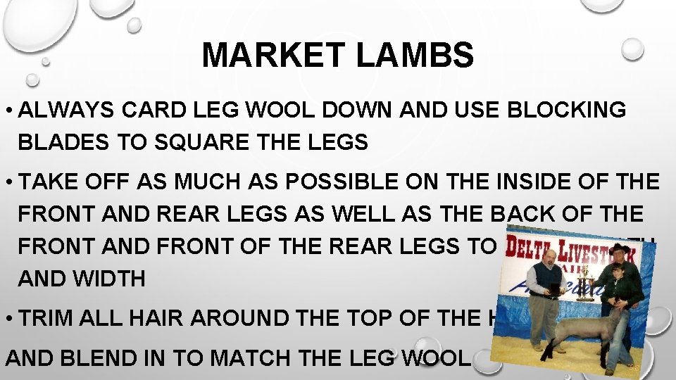 MARKET LAMBS • ALWAYS CARD LEG WOOL DOWN AND USE BLOCKING BLADES TO SQUARE