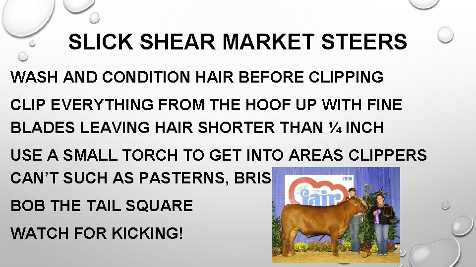 SLICK SHEAR MARKET STEERS WASH AND CONDITION HAIR BEFORE CLIPPING CLIP EVERYTHING FROM THE