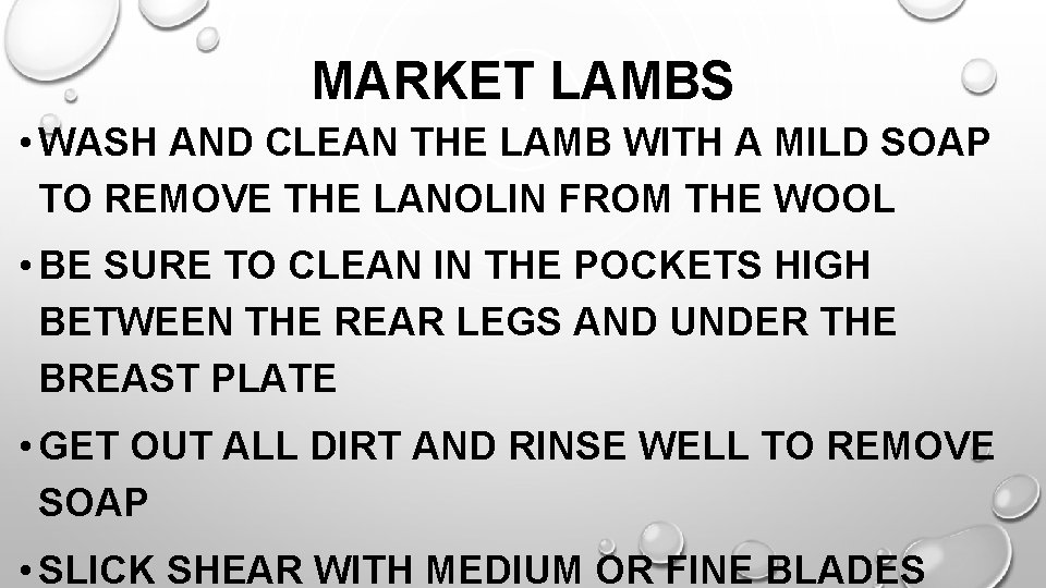 MARKET LAMBS • WASH AND CLEAN THE LAMB WITH A MILD SOAP TO REMOVE