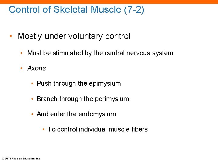 Control of Skeletal Muscle (7 -2) • Mostly under voluntary control • Must be