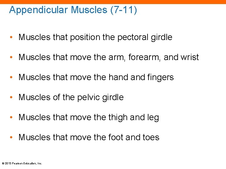 Appendicular Muscles (7 -11) • Muscles that position the pectoral girdle • Muscles that