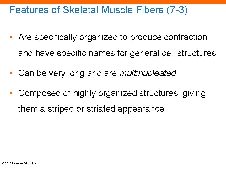 Features of Skeletal Muscle Fibers (7 -3) • Are specifically organized to produce contraction