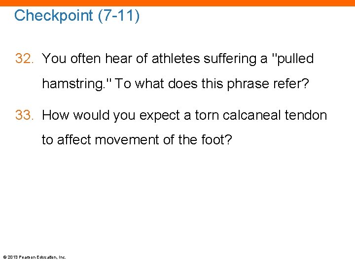 Checkpoint (7 -11) 32. You often hear of athletes suffering a "pulled hamstring. "