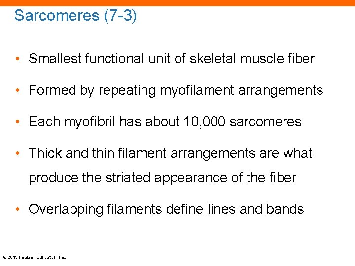 Sarcomeres (7 -3) • Smallest functional unit of skeletal muscle fiber • Formed by