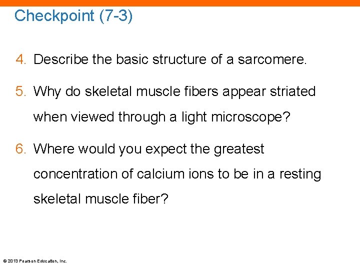 Checkpoint (7 -3) 4. Describe the basic structure of a sarcomere. 5. Why do