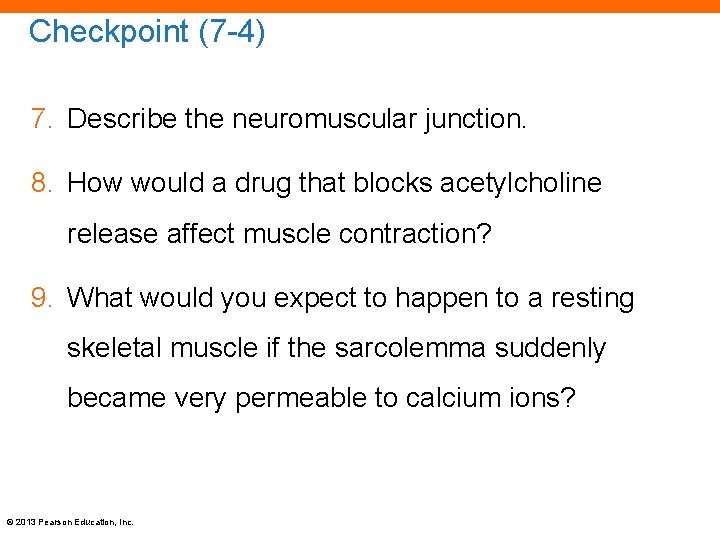 Checkpoint (7 -4) 7. Describe the neuromuscular junction. 8. How would a drug that